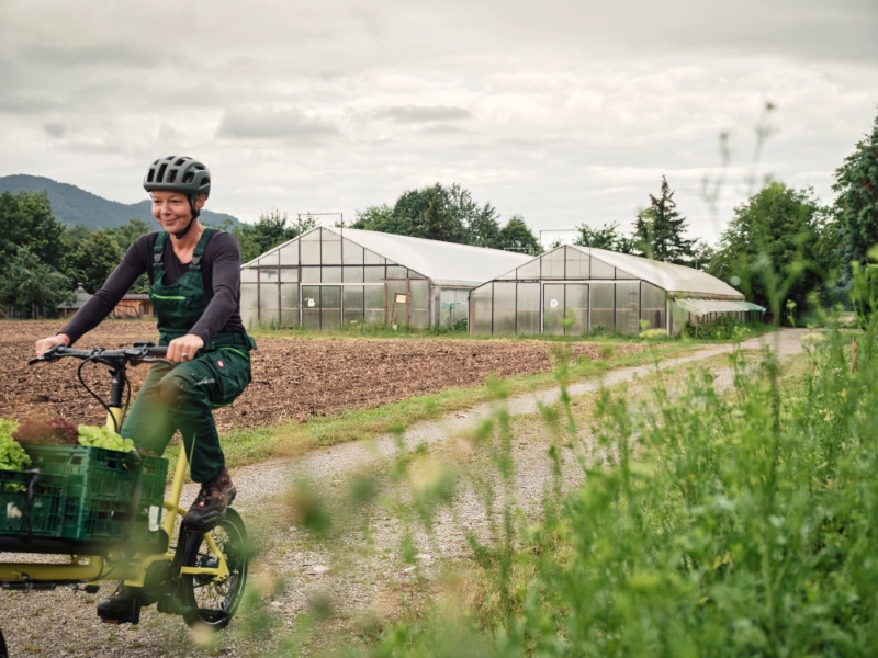 Zufriedene Gärtnerin fährt mit Salat auf dem Frontloader aus dem Bild